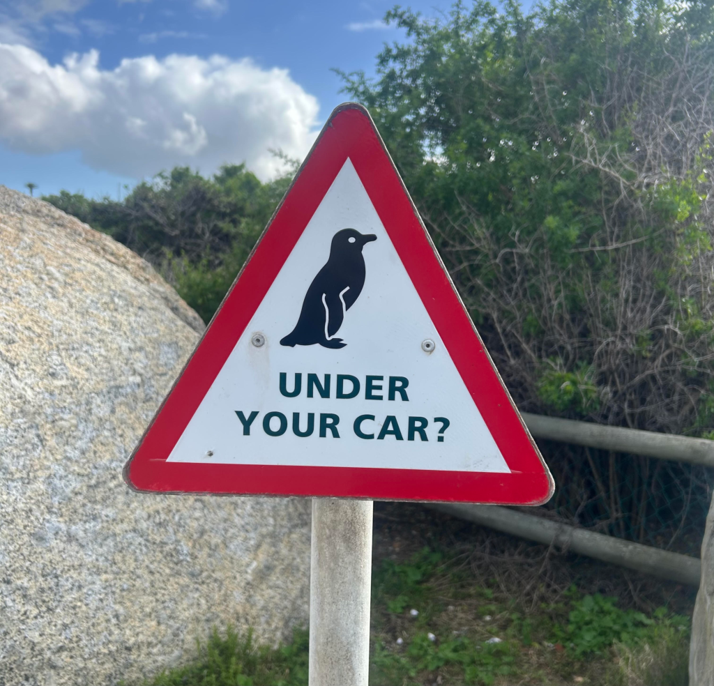 Traffic sign featuring a penguin and the phrase "under your car?"