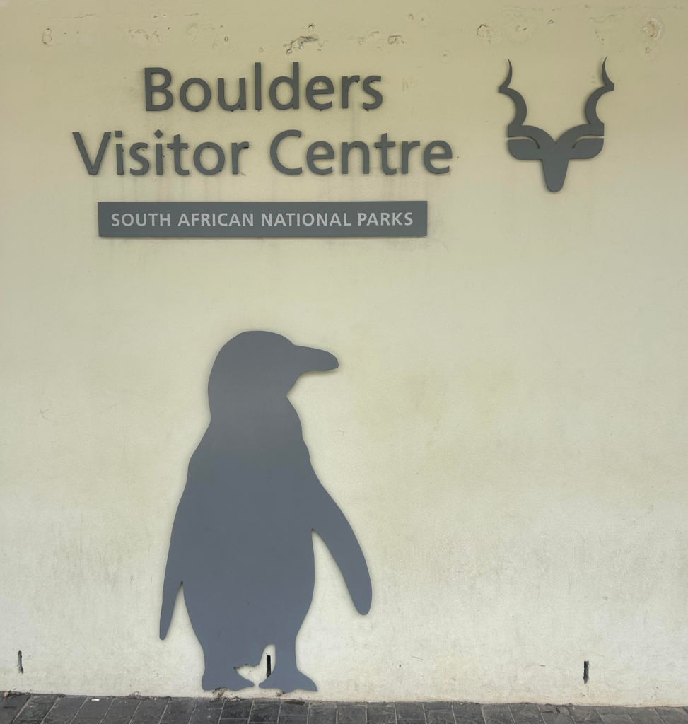 Boulder's Beach Visitor's Centre which has free entry with a SANParks Wild Card