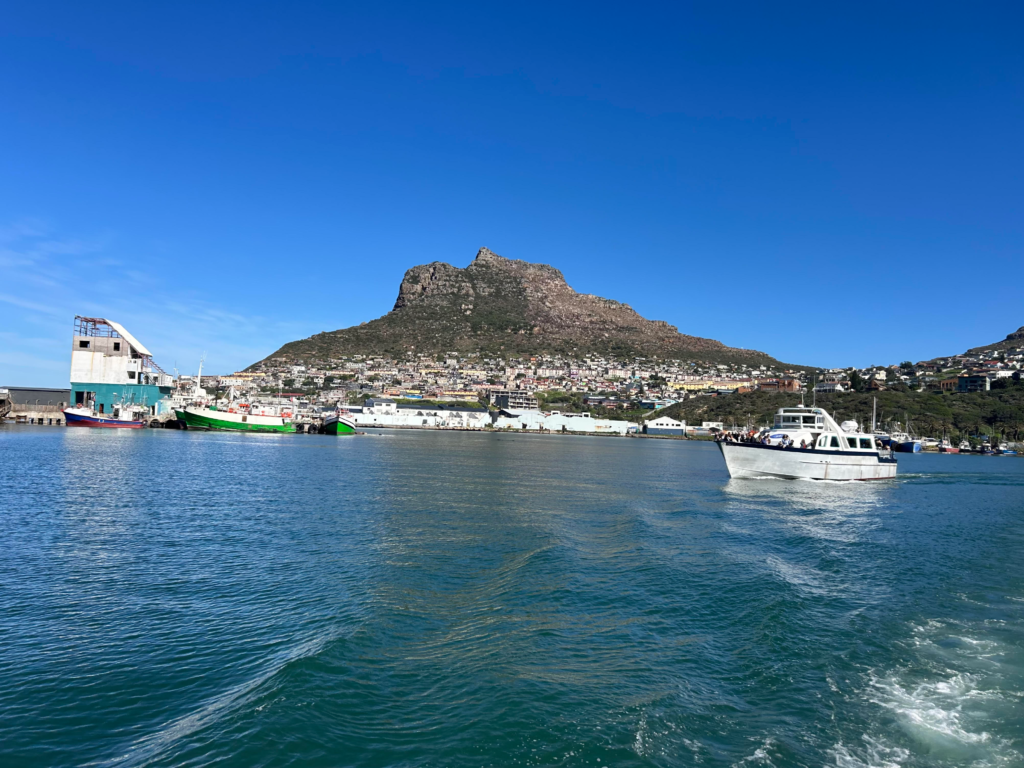 View from Hout Bay, Cape Town