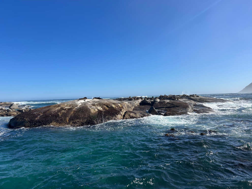 View of Seal Island during boat trip from Hout Bay