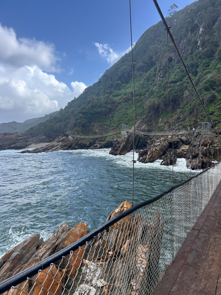 The Storm's River suspension bridge in Tsitsikamma National Park on the Garden Route