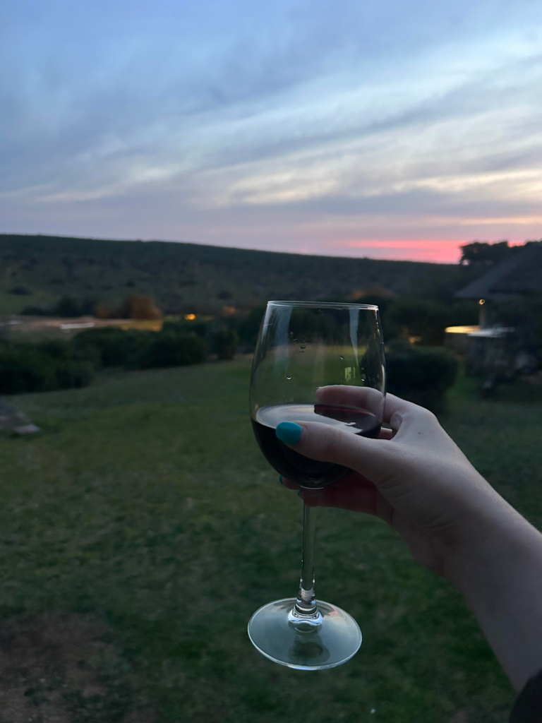 A glass of wine being held up to the sky at dusk.