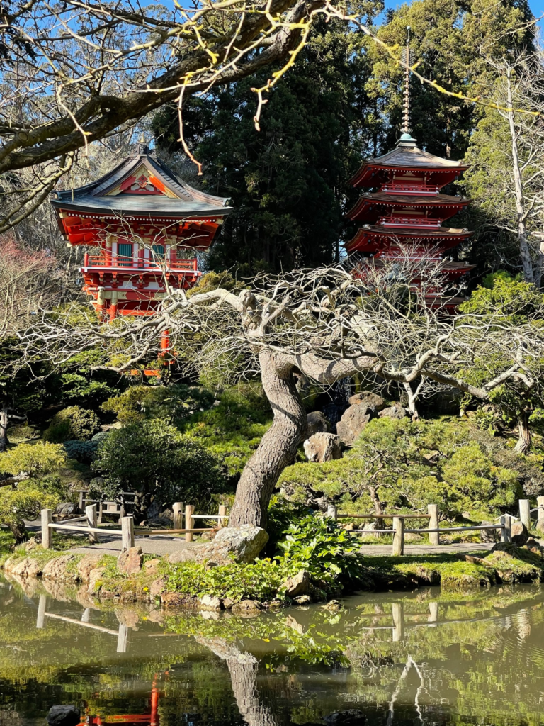A view from the Japanese Tea Garden in Golden Gate Park, San Francisco.