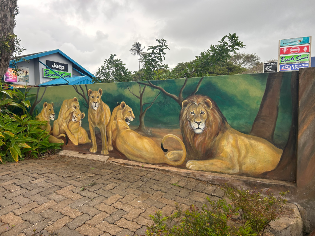 Lion mural in St Lucia, KZN