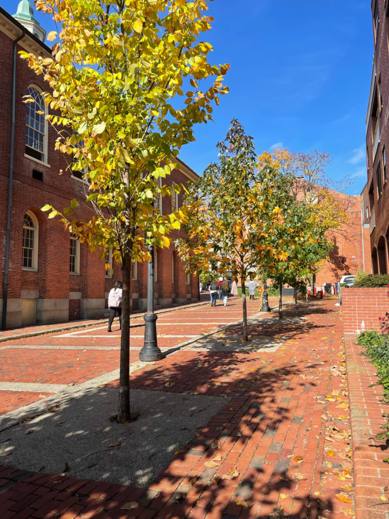 Street view during fall on a Salem day trip from Boston.