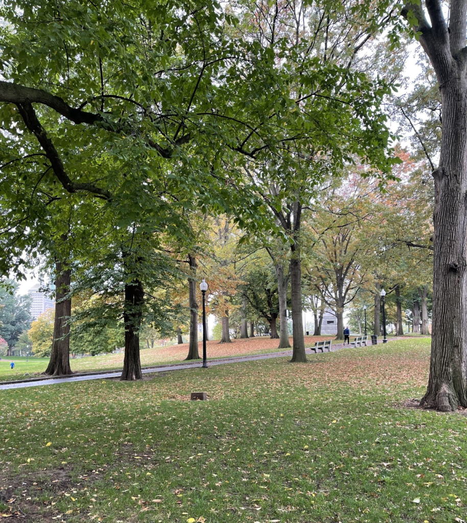 Boston Common during early Fall as the leaves change colours, the first stop of the Freedom Trail in Boston.